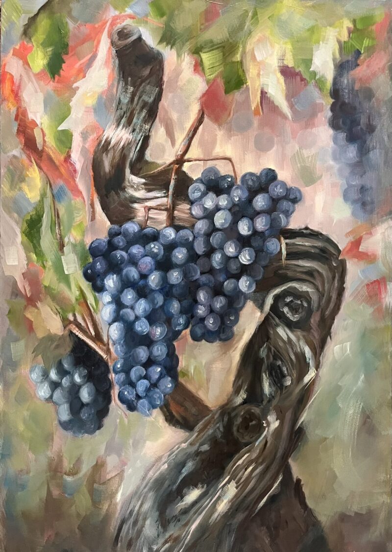 THE VINEYARD The Vineyard