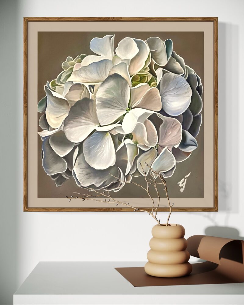 Hydrangea