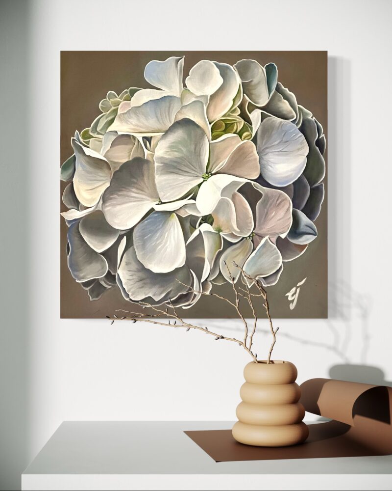 Hydrangea