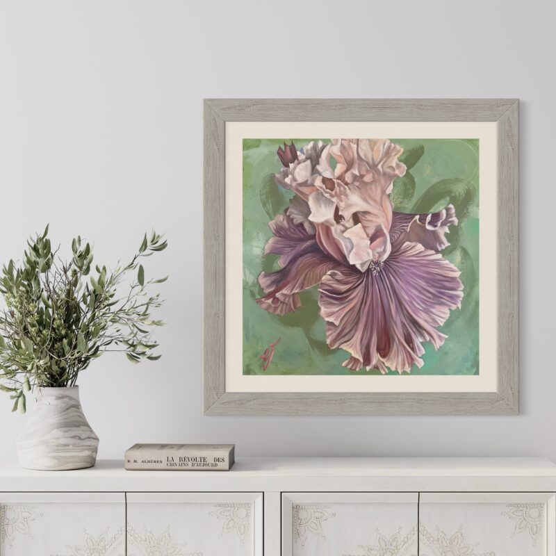 Purple Iris