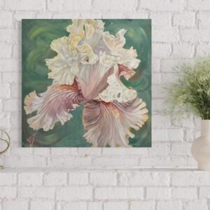 Yellow & Pink Iris