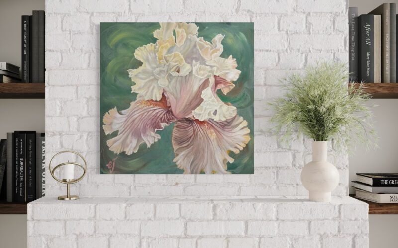 Yellow & Pink Iris