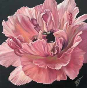 feb flower series2 Ruffled Pink Anemone