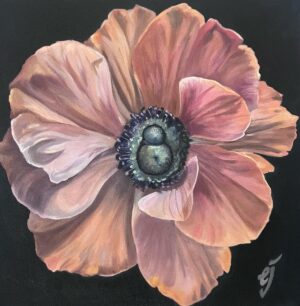 feb flower series3 Green Centered Anemone