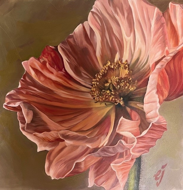 Iceland Poppy