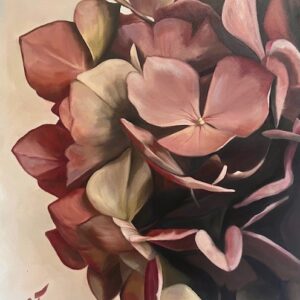 Burgandy Hydrangea