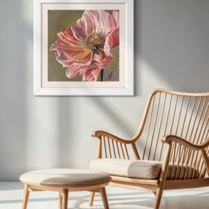 Iceland Poppy