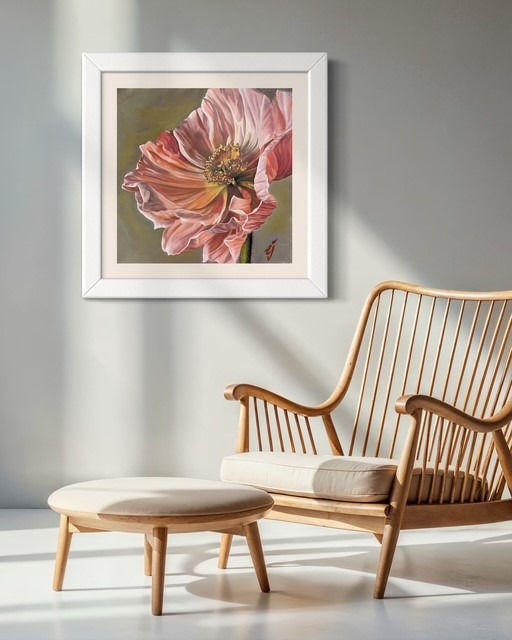 Iceland Poppy