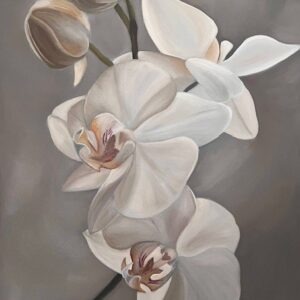 White Orchid
