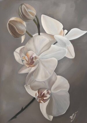 White Orchid