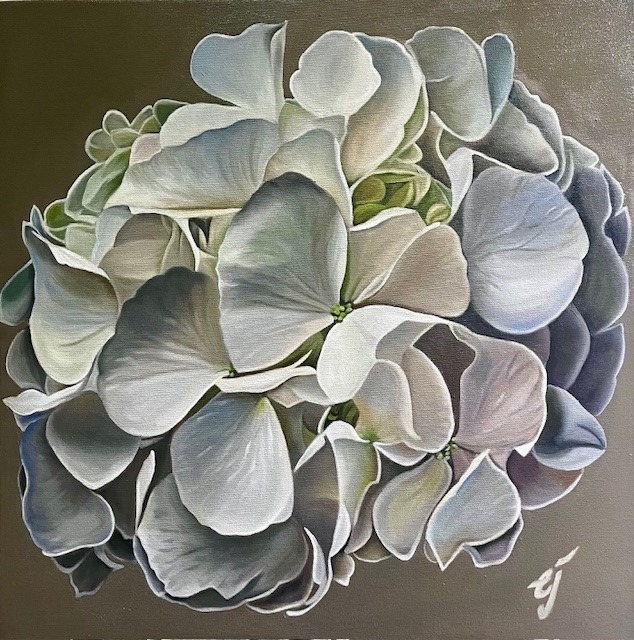 Hydrangea