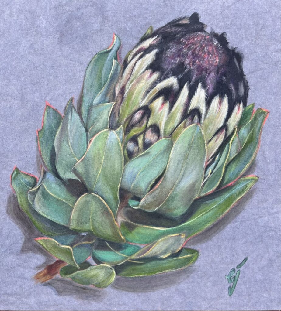 Protea