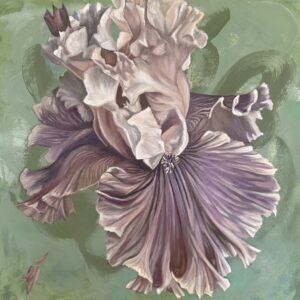 Purple Iris