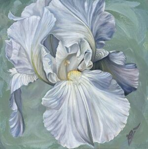 White Iris