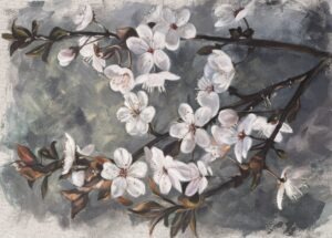 Pinkish White Blossom Branch
