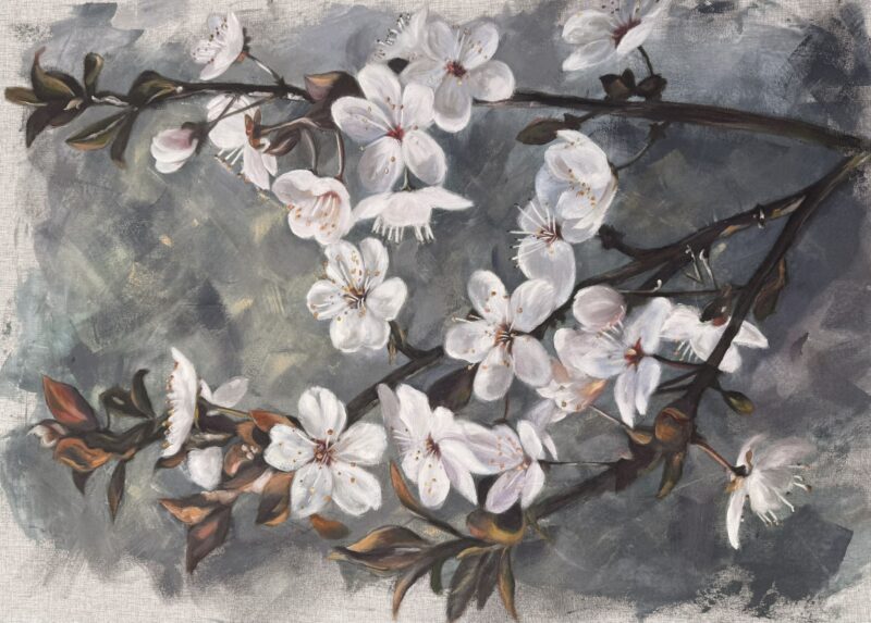 Pinkish White Blossom Branch