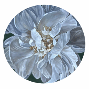 White Peony Circle