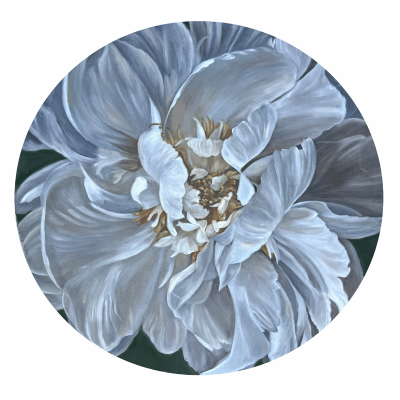 White Peony Circle