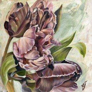 Burgandy Tulips