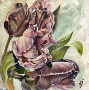 Burgandy Tulips