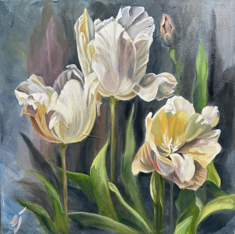 3 White Tulips