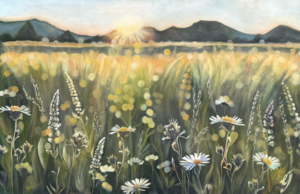 Sun Setting on a Field with Wild Meadow Flowers