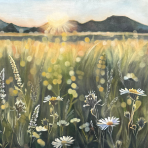 Sun Setting on a Field with Wild Meadow Flowers