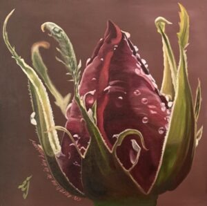 Red Rose Bud