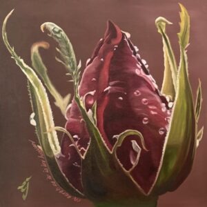 Red Rose Bud