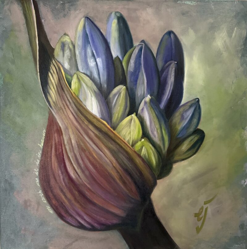 Agapanthus Bud