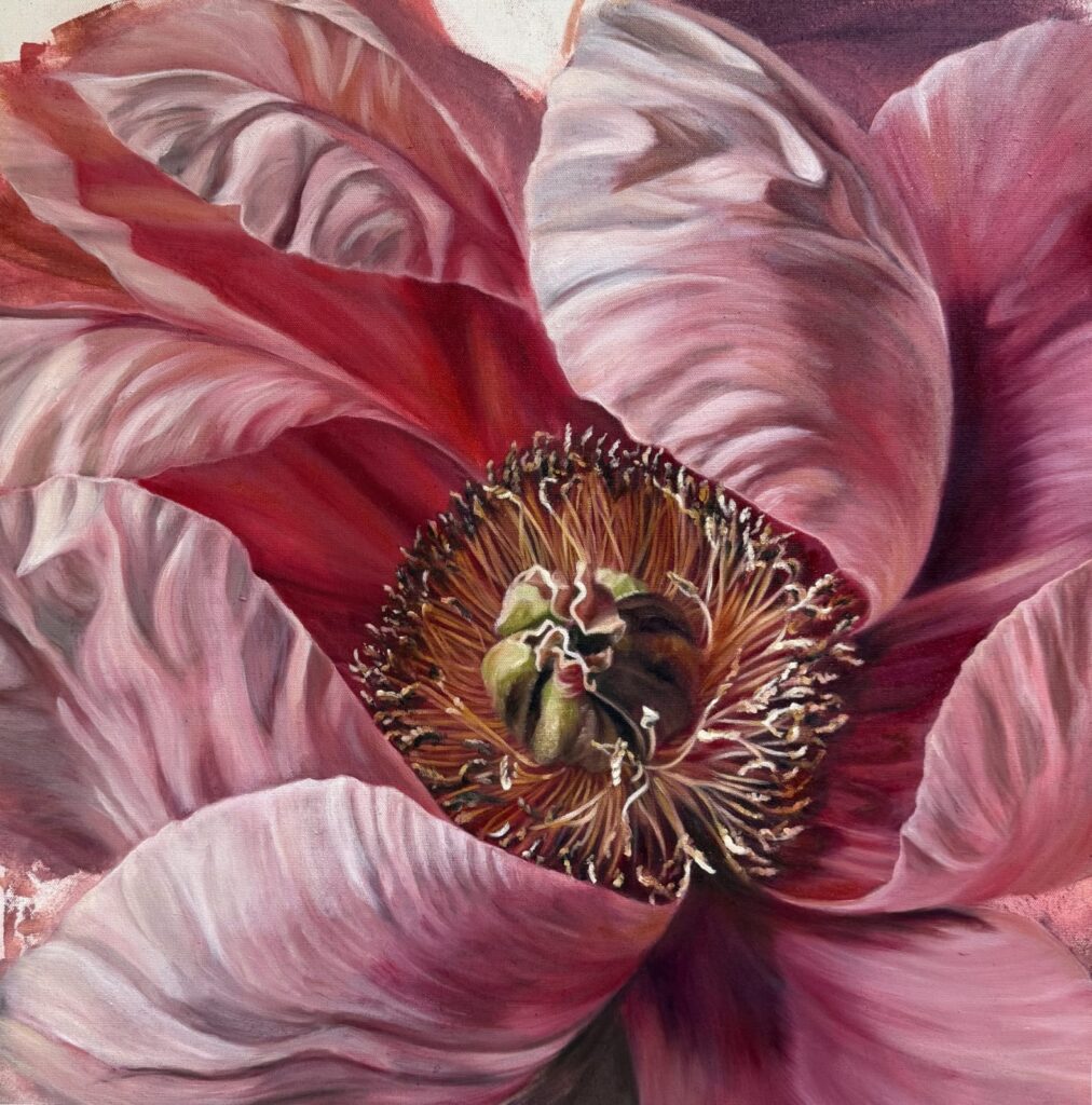 Pink peony with golden center
