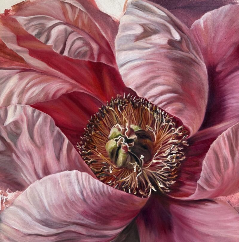 Pink peony with golden center