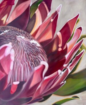 King Protea